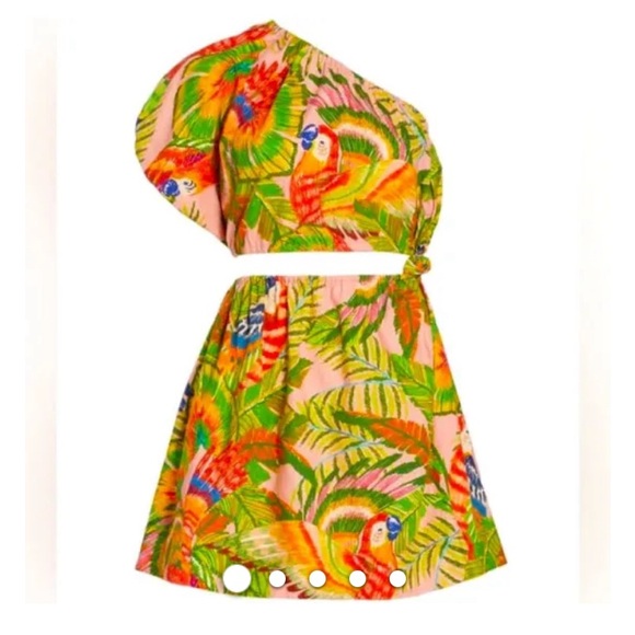 FARM Rio Dresses & Skirts - NWT FARM Rio McCaw leaves mini skirt set size small